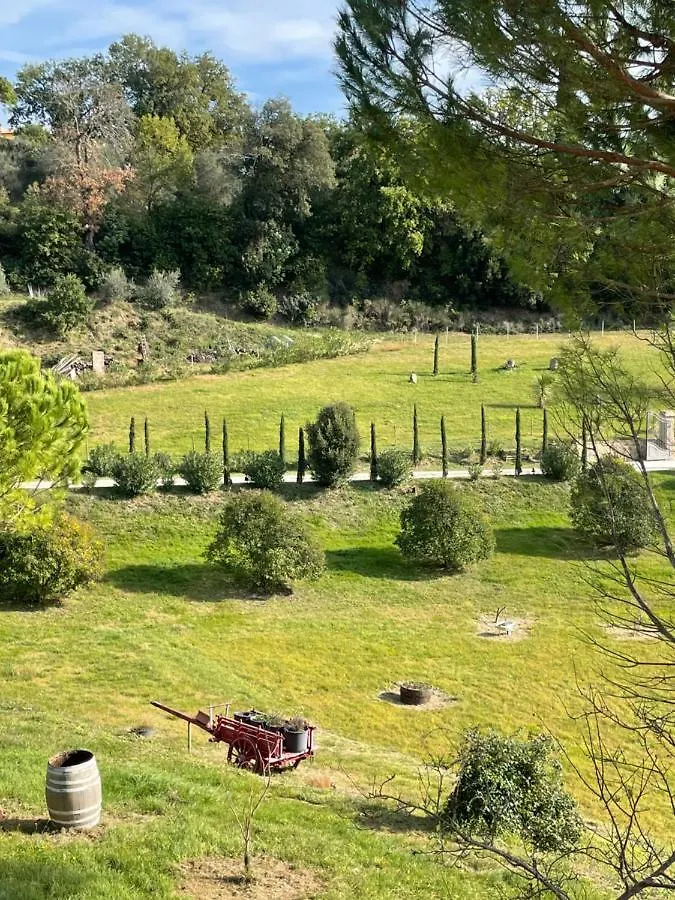 Resort Panoramico Canale Suite - Private Parking - Natural Park Sinalunga Apartment