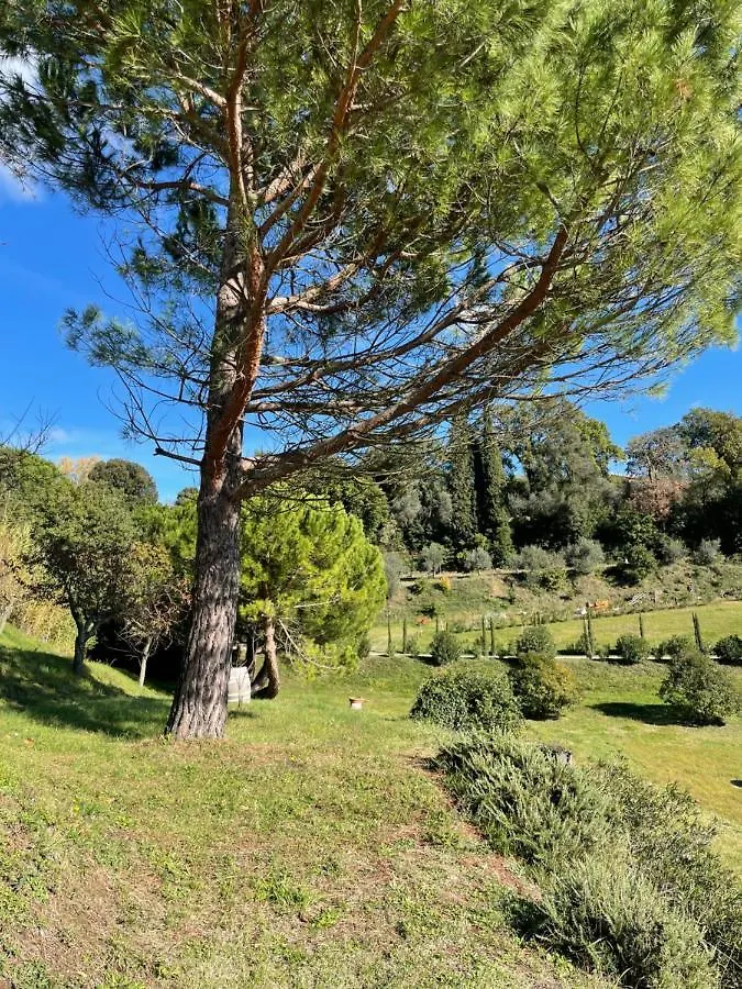 Apartment Resort Panoramico Canale Suite - Private Parking - Natural Park Sinalunga Italy