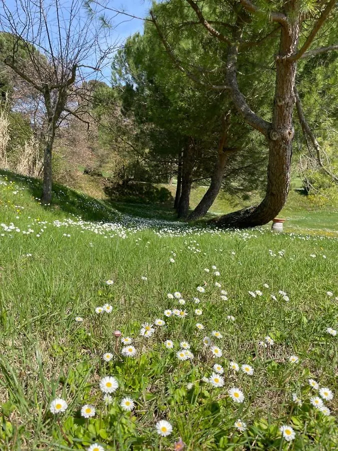 Apartment Resort Panoramico Canale Suite - Private Parking - Natural Park Sinalunga