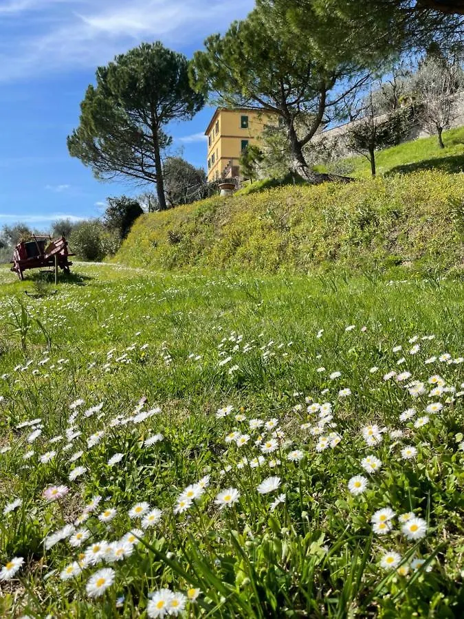 Resort Panoramico Canale Suite - Private Parking - Natural Park Sinalunga 0*,  Italy