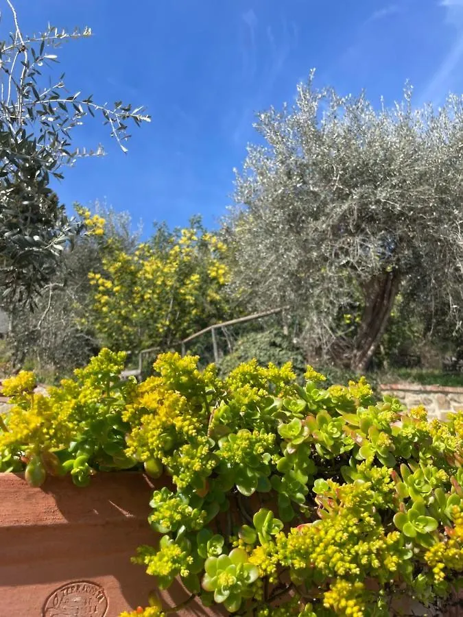 Apartment Resort Panoramico Canale Suite - Private Parking - Natural Park Sinalunga Italy