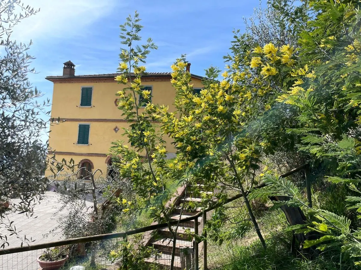 Resort Panoramico Canale Suite - Private Parking - Natural Park Sinalunga Apartment