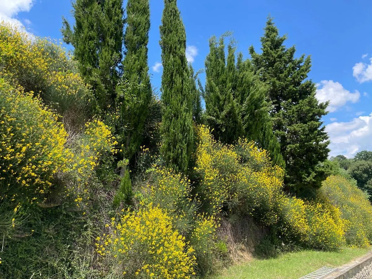 Apartment Resort Panoramico Canale Suite - Private Parking - Natural Park Sinalunga Italien